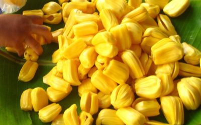 La yaca: una fruta exótica y deliciosa