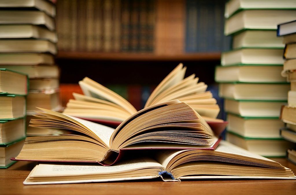 Reseña en el blog EntreLibrosyEbooks