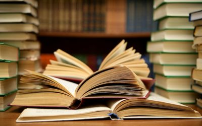 Reseña en el blog EntreLibrosyEbooks